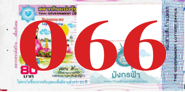 ซื้อสลากเลข 066