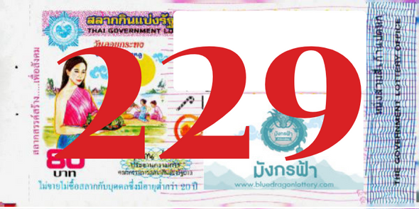 ซื้อสลากเลข 229